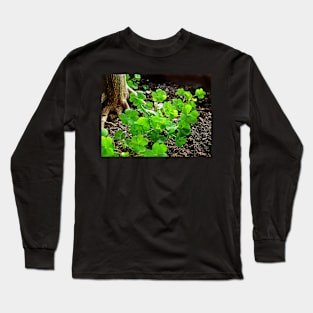 Green Jewels Long Sleeve T-Shirt